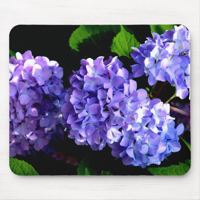 Elegant purple floral hydrangea flowers mouse pad (Front)