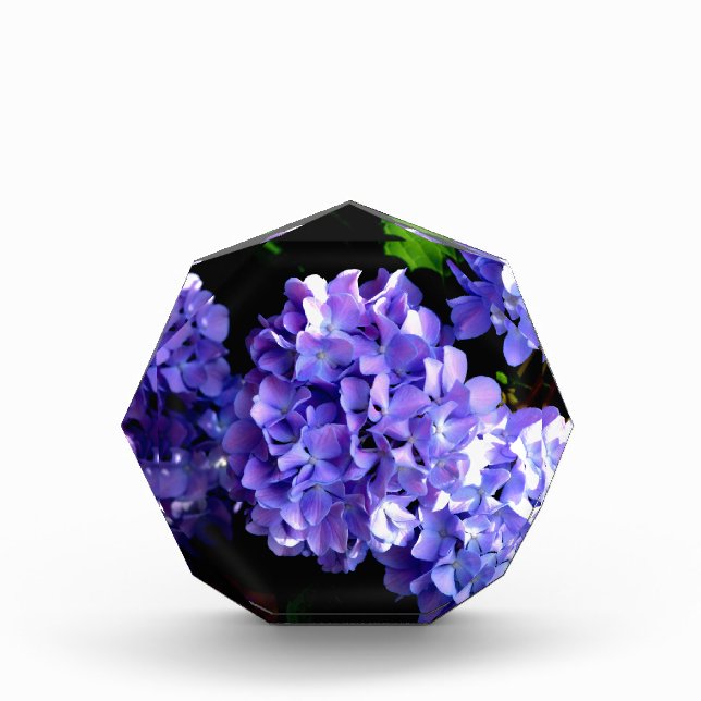 Elegant purple floral purple blue hydrangeas acrylic award (Front)