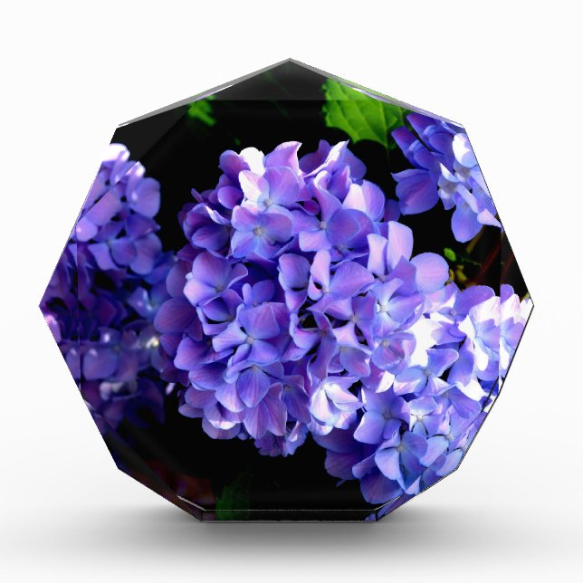 Elegant purple floral purple blue hydrangeas acrylic award (Front)