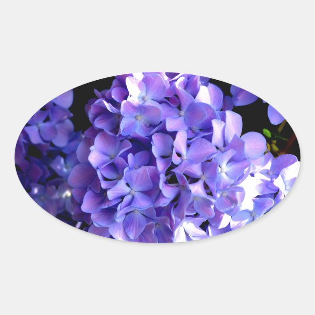 Elegant purple floral purple blue hydrangeas oval sticker (Front)