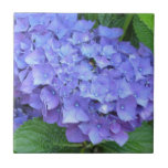 Elegant Purple Hydrangeas Tile