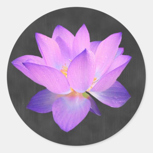 Elegant Purple Lotus Sticker