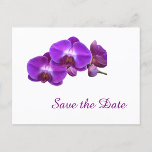 Elegant, purple orchid flowers save the date announcement postcard