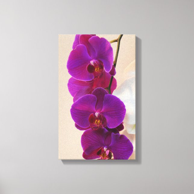 Elegant Purple Orchid Wrapped Canvas Print (Front)