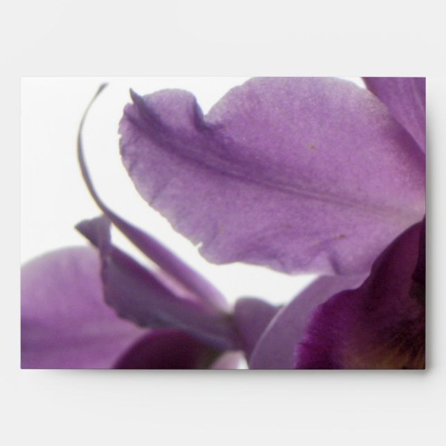 Elegant Purple Orchids Envelopes (Front)