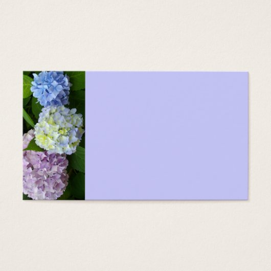 Elegant purple pink blue floral Hydrangeas (Front)