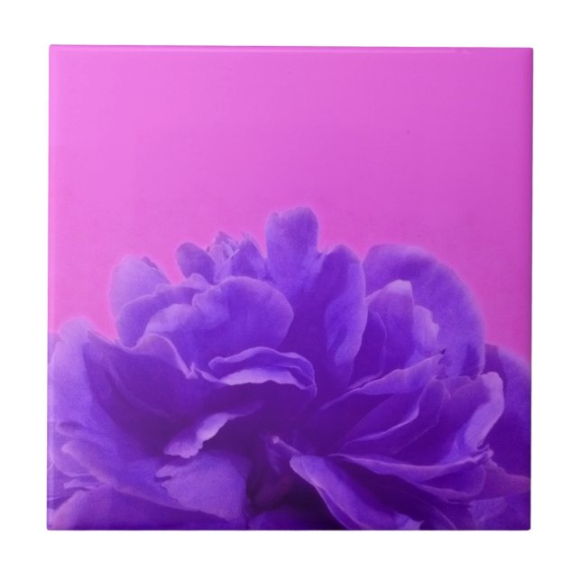 Elegant Purple Raspberry Floral Ceramic Tile (Front)