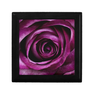 Elegant Purple Rose Gift Box