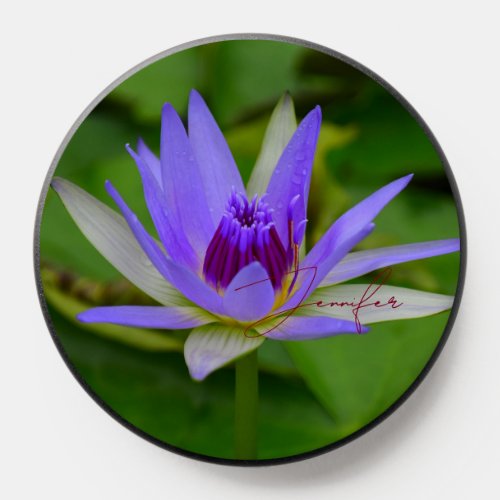 Elegant Purple Water Lily Flower Phone Grips