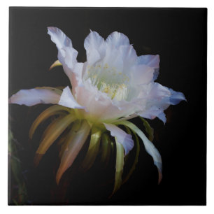Elegant Queen-of-the Night Cactus flower Ceramic Tile