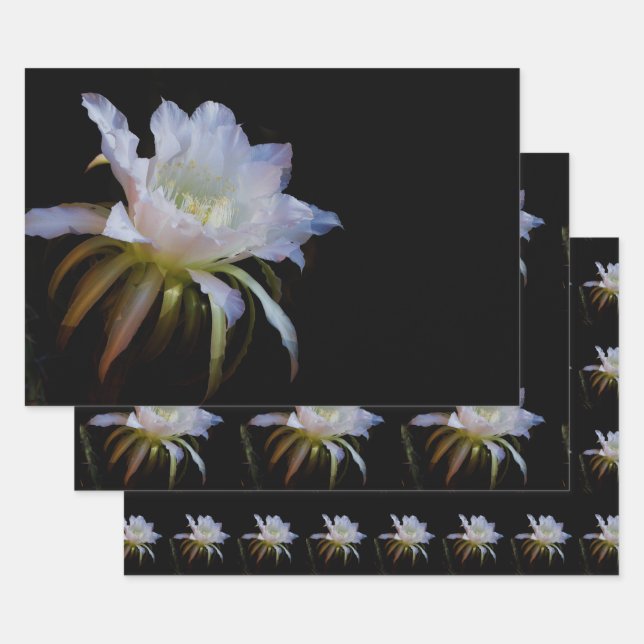 Elegant Queen of the Night Cactus Flower Wrapping Paper Sheets (Set)