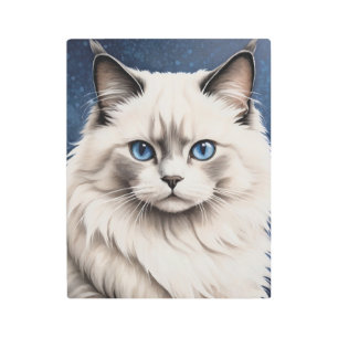 Elegant Ragdoll Cat Portrait Artwork Blue Eyes  Metal Print