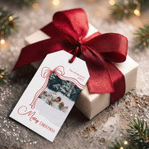 Elegant Red Bow Christmas Family Photo