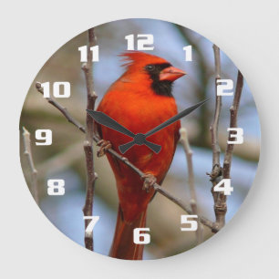 Elegant Red Cardinal Large Clock