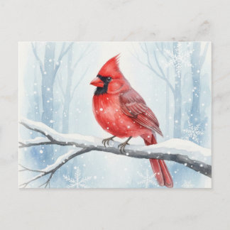 Elegant Red Cardinal Watercolor Winter Snow Postcard