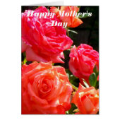 Elegant red coral orange roses (Front)