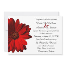 Elegant Red Gerbera Daisy Wedding Invitation