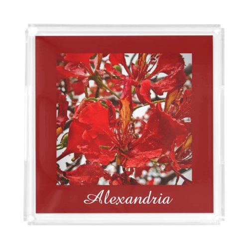 Elegant Red Hibiscus Floral Flowers USVI Custom Acrylic Tray
