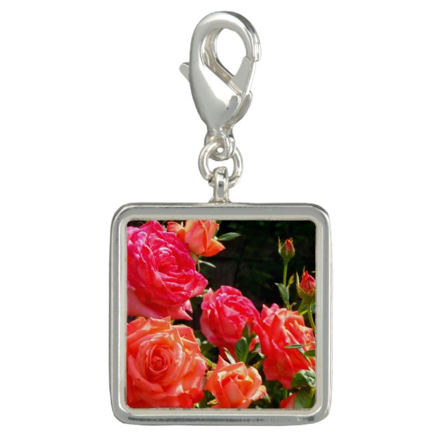 Elegant red orange coral roses rose garden charm (Front)