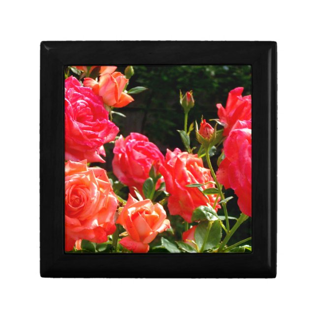 Elegant red orange coral roses rose garden gift box (Front)