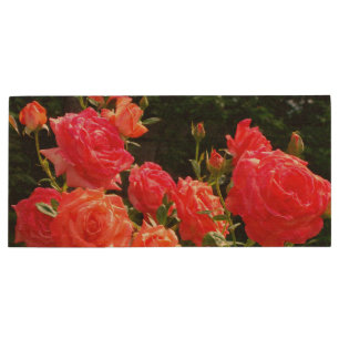 Elegant red orange coral roses rose garden wood USB flash drive