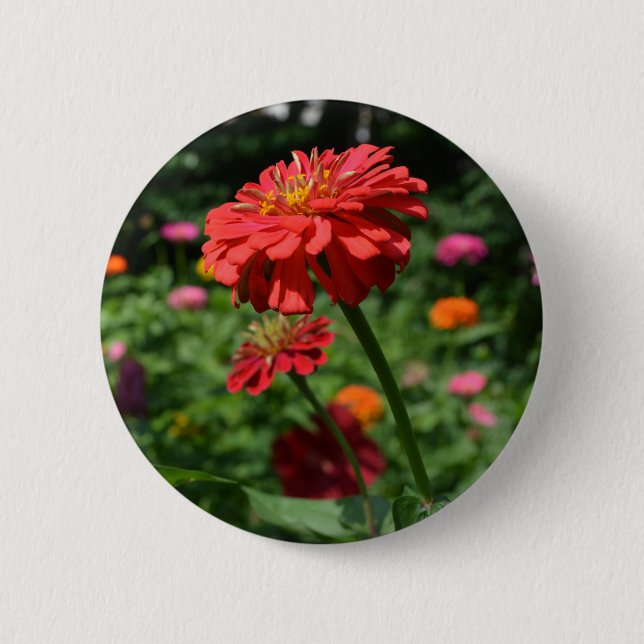 Elegant red orange floral flower garden  button (Front)