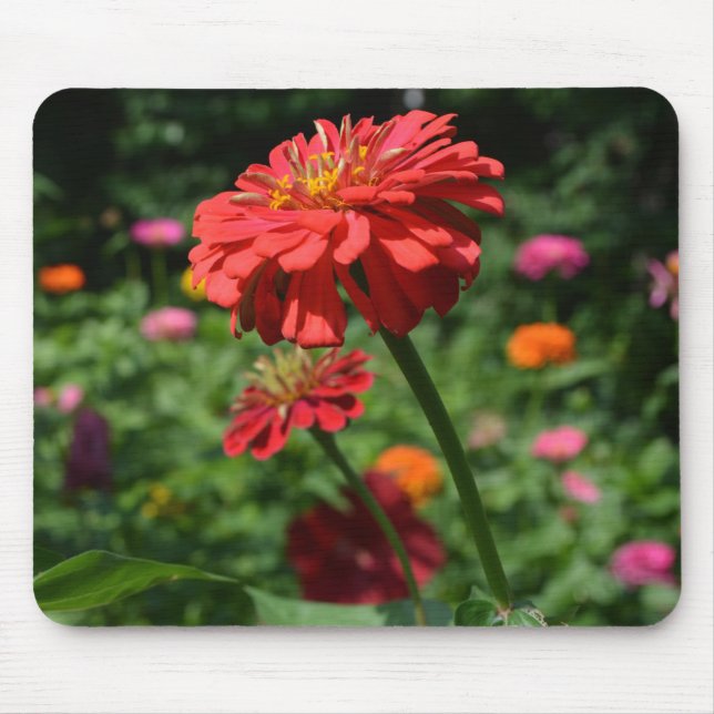 Elegant red orange floral flower garden  mouse pad (Front)