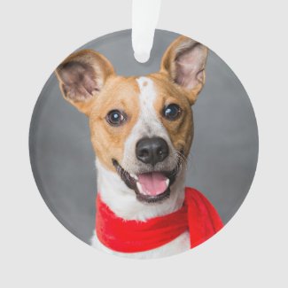 Elegant Red Pet Dog Memorial Photo Keepsake Ornament
