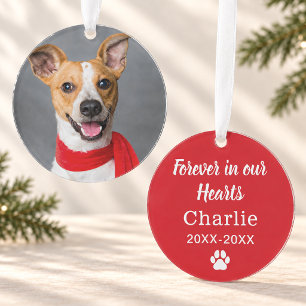 Elegant Red Pet Memorial Photo Name and Dates Ornament