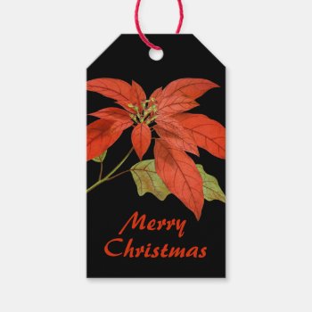Elegant Red Poinsettia On Black Gift Tags by DP_Holidays at Zazzle