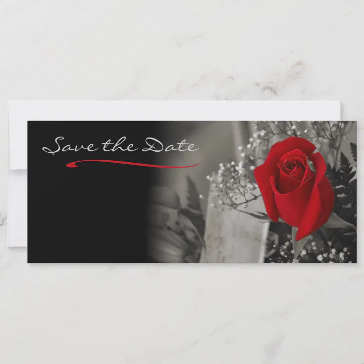single red rose black and white background