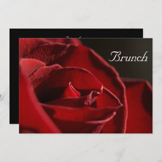 Elegant Red Rose Post Wedding Brunch Invitation
