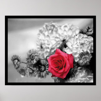 Elegant Red Rose Poster