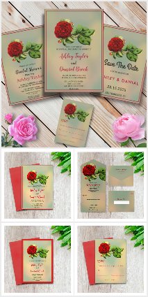 Elegant Red Rose Romantic Framed Floral Collection
