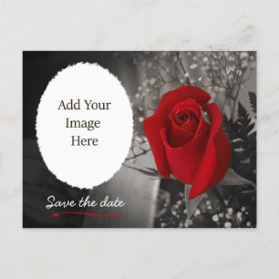 Elegant Red Rose Save the Date Photo Announcement Postcard