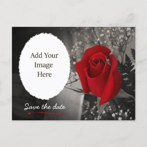 Elegant Red Rose Save the Date Photo Announcement Postcard