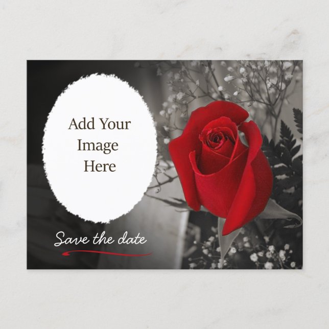 Elegant Red Rose Save the Date Photo Announcement Postcard (Front)