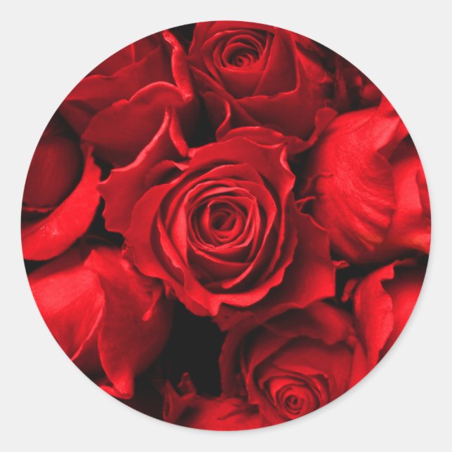 Elegant Red Rose Sticker (Front)