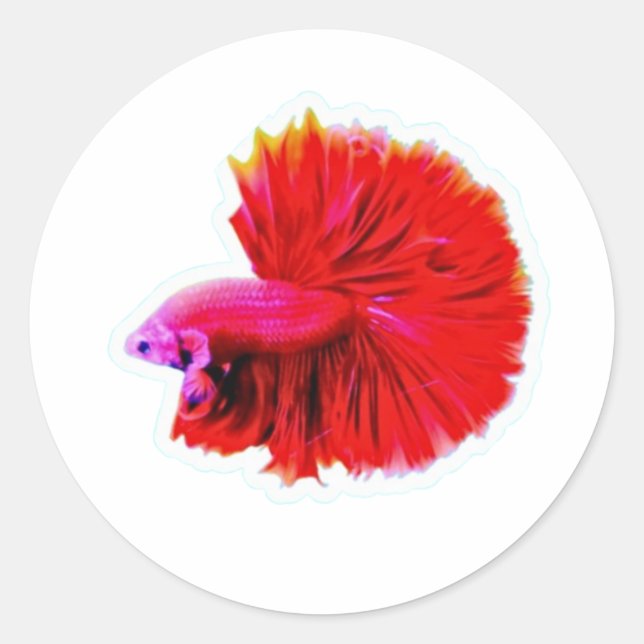 Elegant Red Rose Tail Betta Sticker - Luxury Flowi (Front)