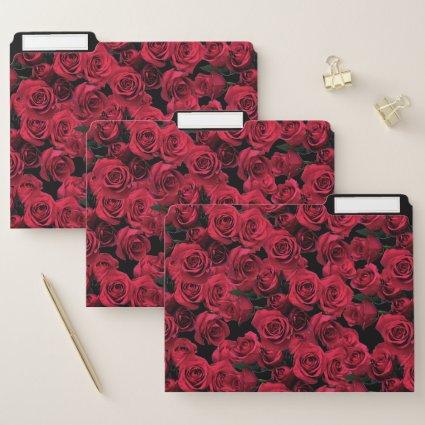 Elegant Red Roses Garden Flowers File Folder Set