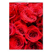 Elegant Red Roses red florals red flowers (Front)