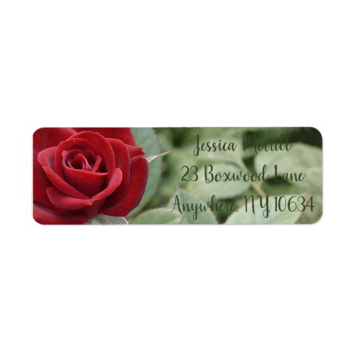 Elegant red tea rose return address label