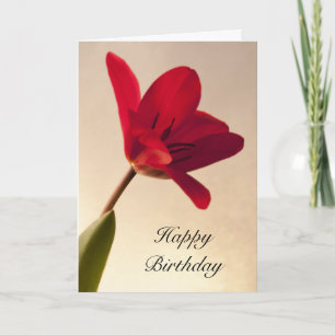 Elegant Red Tulip Birthday Card