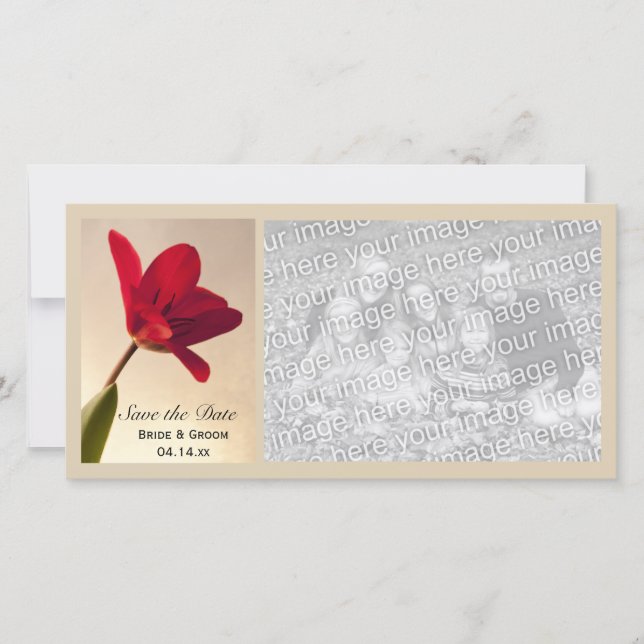 Elegant Red Tulip Wedding Save the Date (Front)
