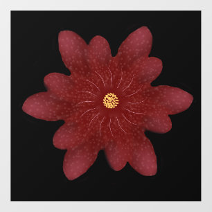Elegant Red Velvet Flower on Black Dark Floral A Wall Decal