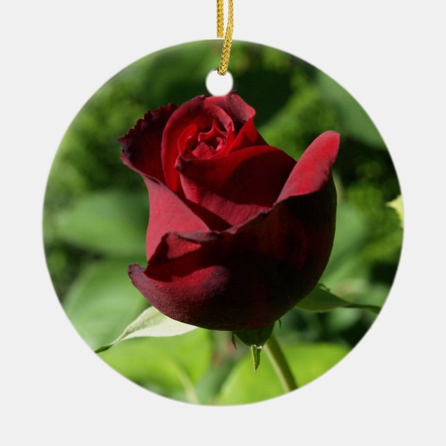 Elegant Red Velvet Rose Ceramic Ornament (Front)