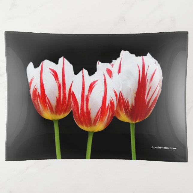 Elegant Red White Floral Maple Leaf Tulips Trinket Tray (Front)