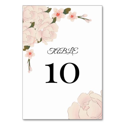 Elegant Romantic Blush Pink Floral Blossom  Table Number