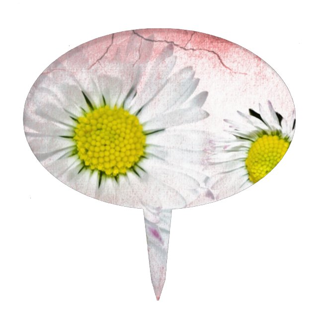 Elegant Romantic Bridal Shower Daisies Wedding Cake Topper (Front)