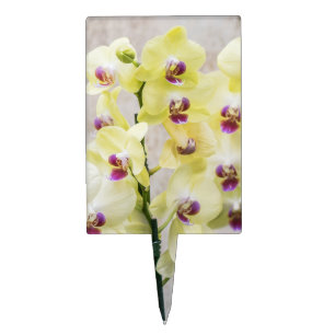 Elegant Romantic Cream & Lilac Orchids Cake Topper